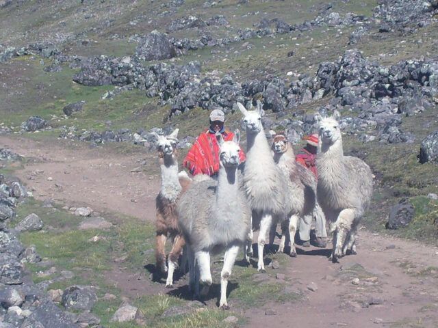 Classic Lares Trek to Machu Picchu 4D/3N