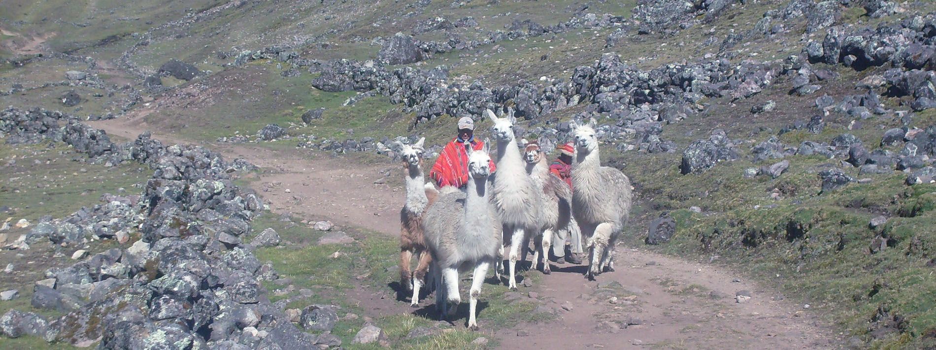 Classic Lares Trek to Machu Picchu 4D/3N