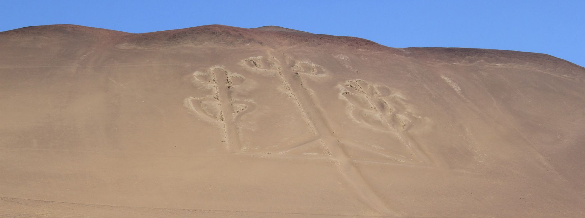 Paracas National Reserve & Ica Tours.