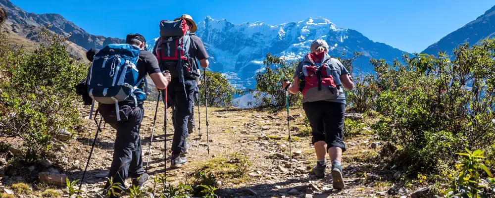 Salkantay’s Flora and Fauna: A Visual Feast