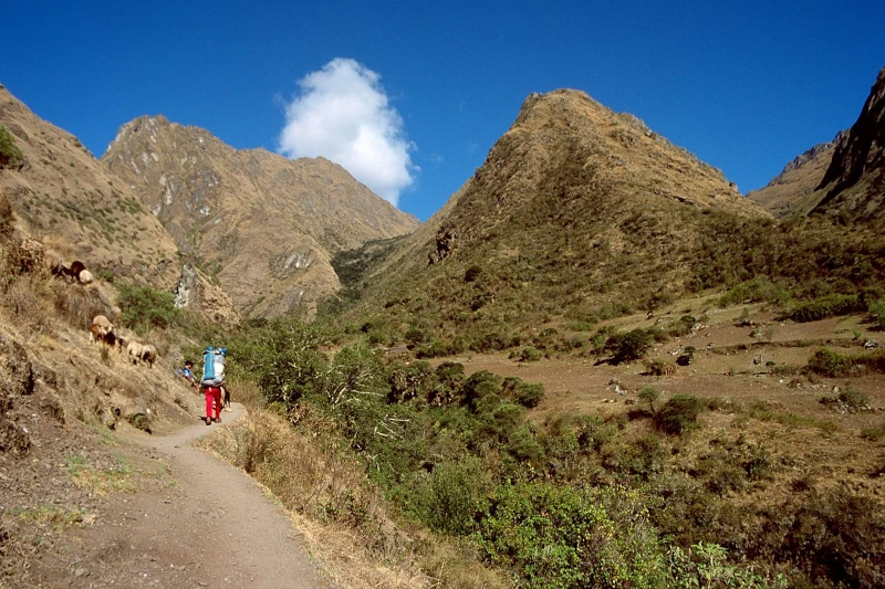 Salkantay Trek vs Inca Trail