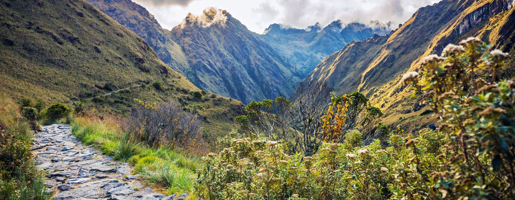 Mastering the Inca Trail: A Professional’s Perspective on the Journey to Machu Picchu