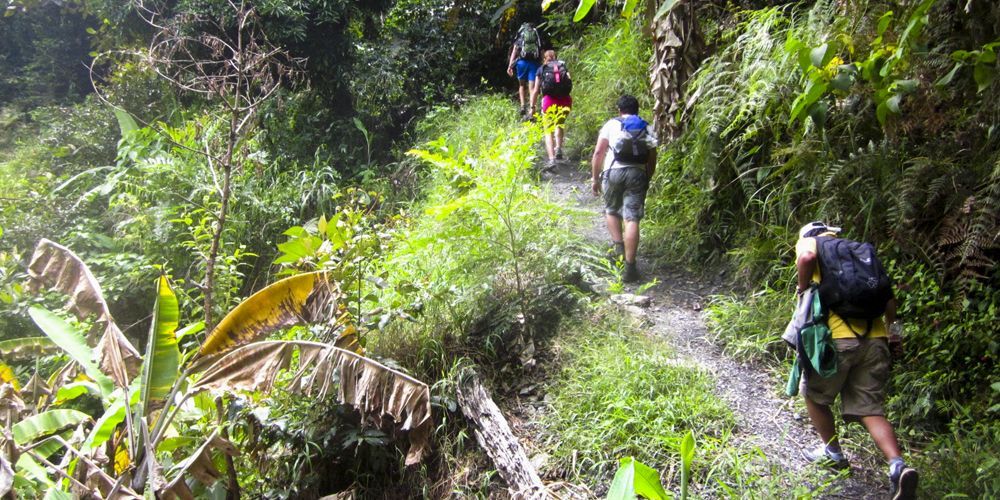 Journey Through the Inca Jungle: Essential Tips for Travellers