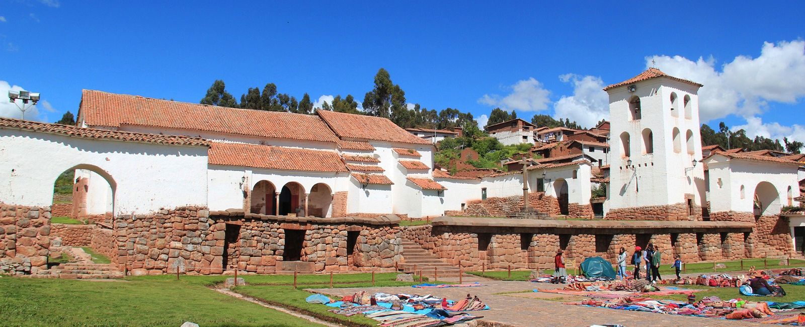 Discovering the Unique Flora and Fauna of Andean Forests in the Sacred Valley