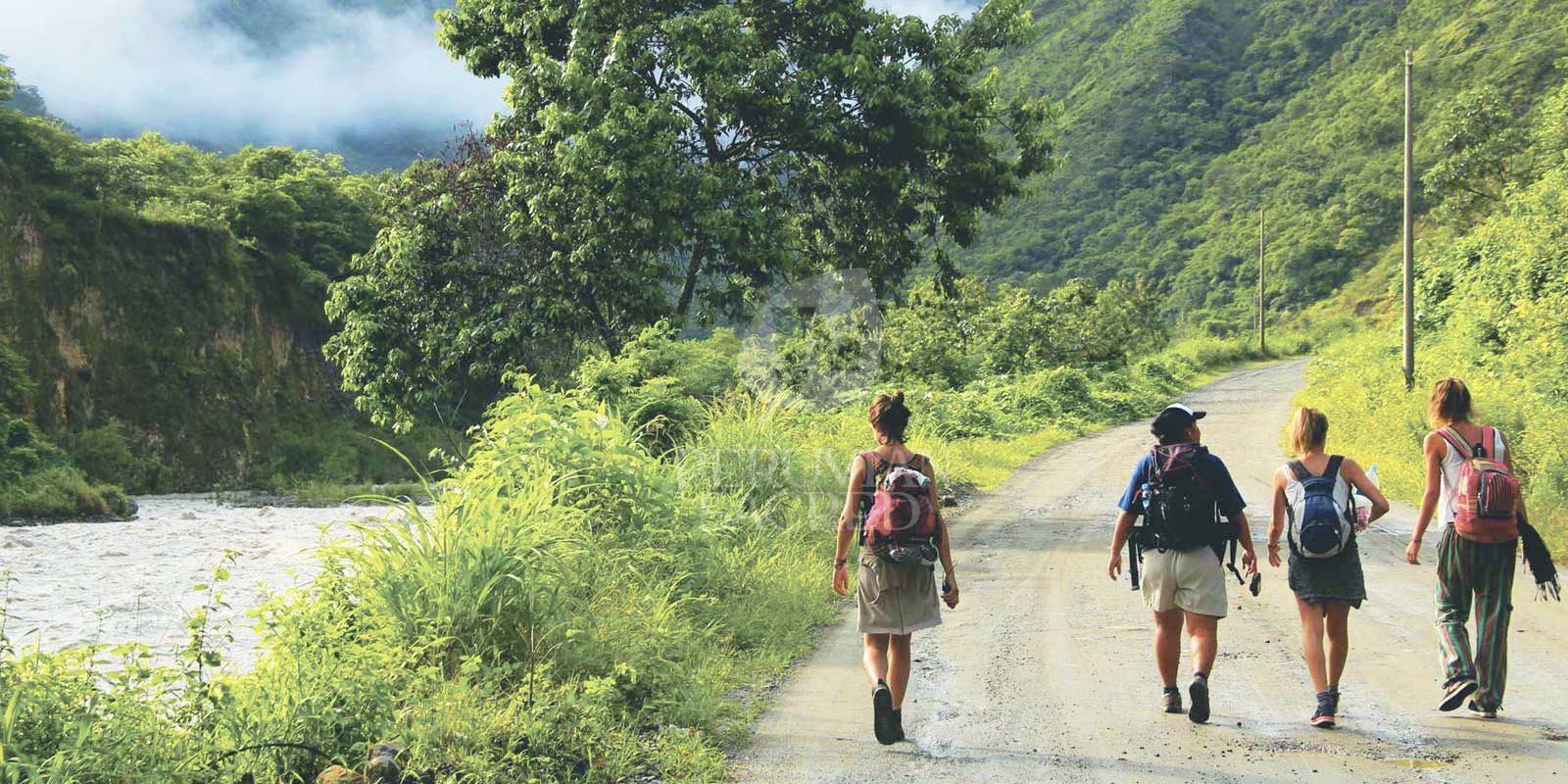 Exploring the Inca Jungle: A Comprehensive Guide to Adventure