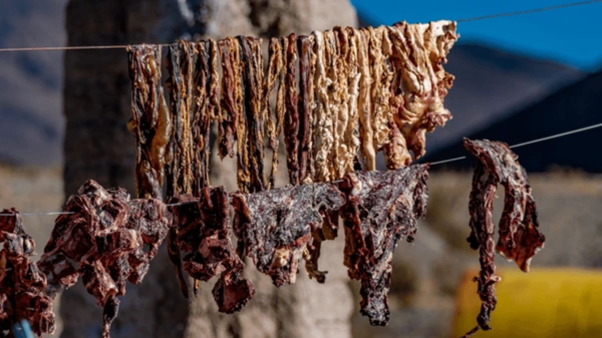 Dehydrated Meat in the Inca Time.