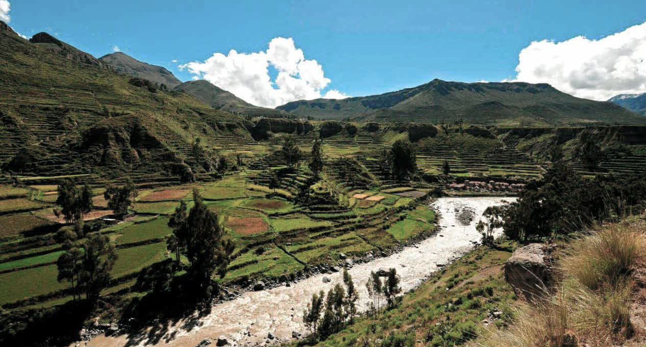 Colca Canyon Tour from Arequipa.